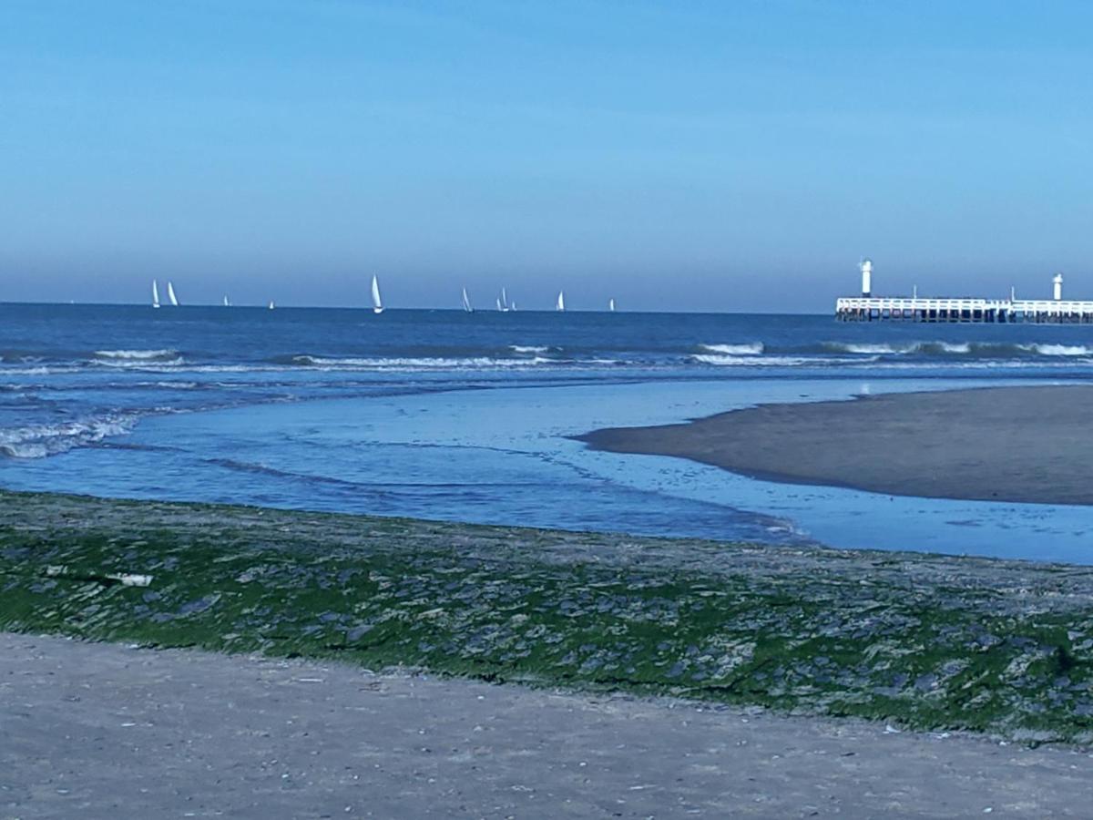 Studio Havenzicht Nieuwpoort Esterno foto